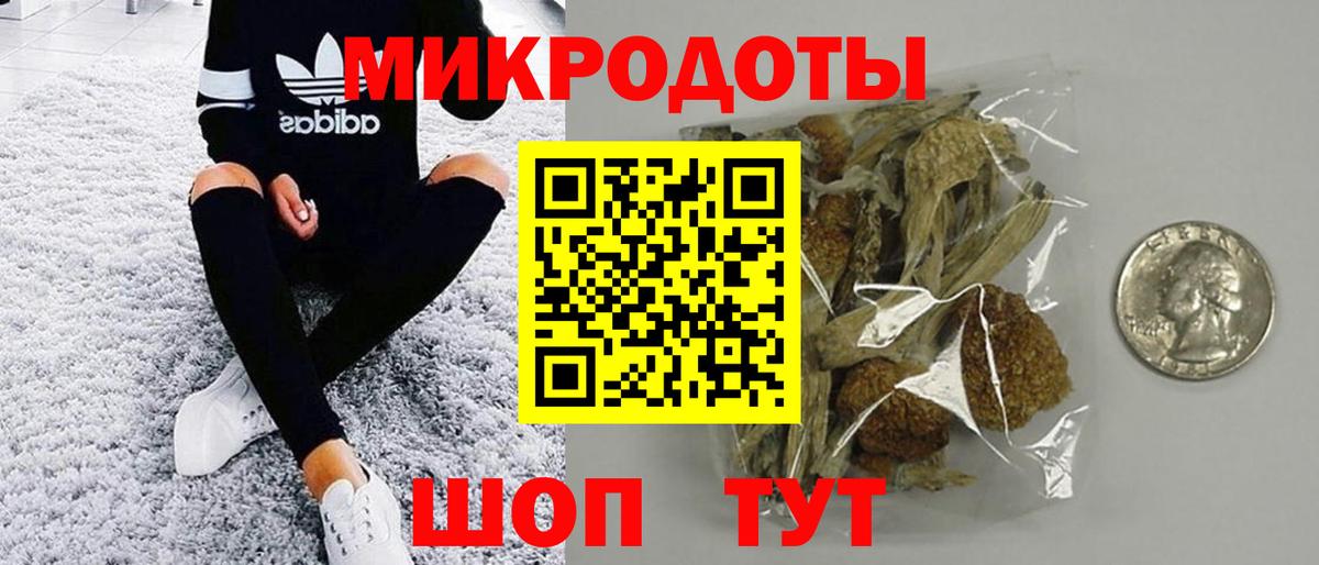 Псилоцибиновые грибы Psilocybe  Вход с VPN  Санкт-Петербург 